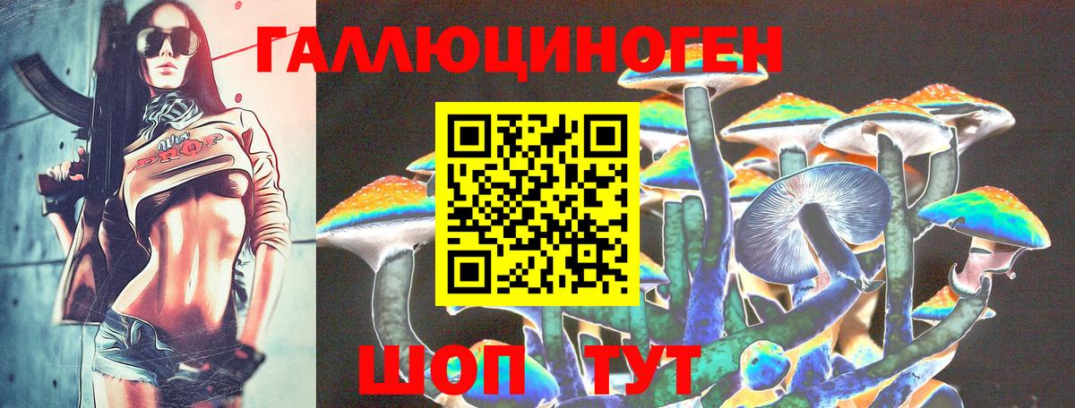Галлюциногенные грибы Cubensis Кировск