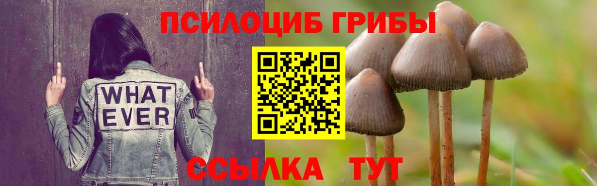 Кировск  Псилоцибиновые грибы мухоморы  Галлюциногенные грибы Cubensis  Вход с VPN 